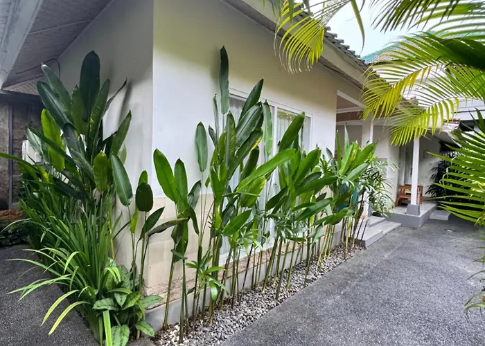 Kubu Betel *